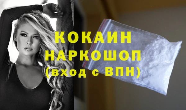 шишки Магас