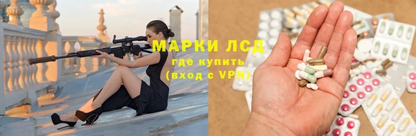 шишки Магас