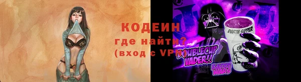 шишки Магас