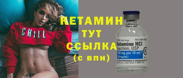 шишки Магас