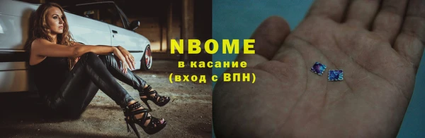 шишки Магас