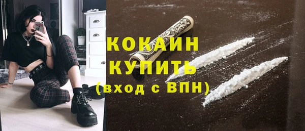 шишки Магас