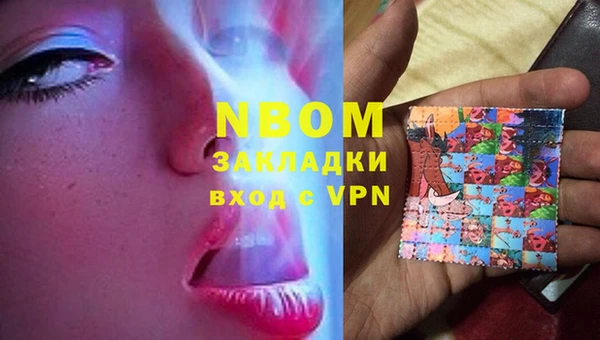 шишки Магас