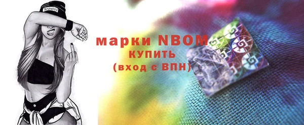 шишки Магас