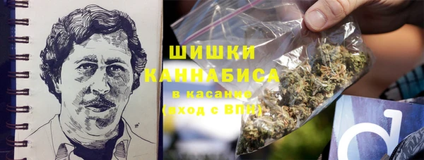 шишки Магас