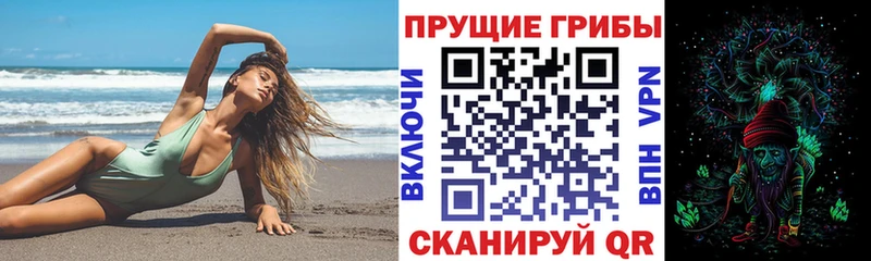 Галлюциногенные грибы прущие грибы  цена наркотик  Гаврилов Посад 