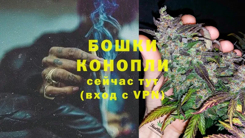 МАРИХУАНА Ganja  Гаврилов Посад 